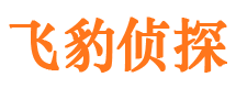 巴州寻人公司